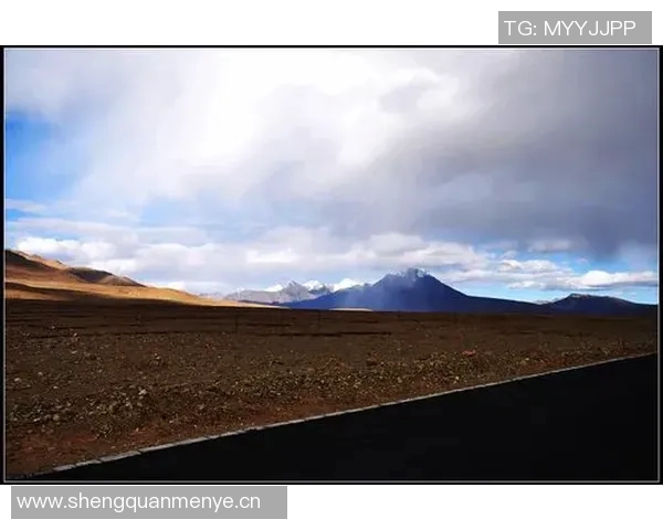 追梦西部挑战虽艰难但我们与湖船携手共创辉煌争夺冠军