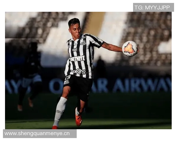 巴甲赛季落幕仅两队无洲际赛资格且不降级桑托斯将征战南美杯 巴甲赛季落幕仅两队无洲际赛资格且不降级桑托斯将征战南美杯